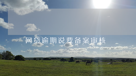 网贷逾期说要备案审核