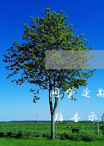 网贷逾期说要张贴告示（网贷逾期说已在门口贴告示）