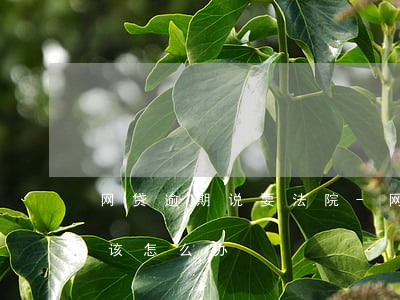 网贷逾期说要法院-网贷逾期说要法院起诉该怎么办