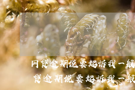 网贷逾期说要起诉我一般多久收到法院-网贷逾期说要起诉我一般多久收到法院通知