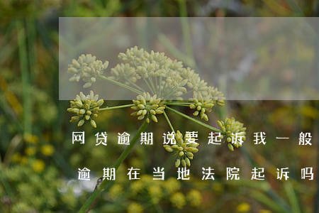 网贷逾期说要起诉我一般多久收到法院（网贷逾期在当地法院起诉吗）