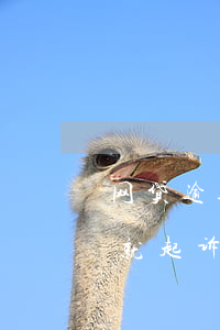 网贷逾期说起诉是真的吗（网贷逾期10多天就起诉是真的吗）