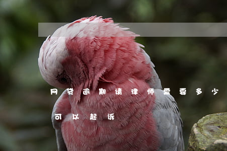 网贷逾期请律师需要多少钱(网贷逾期多少钱可以起诉)