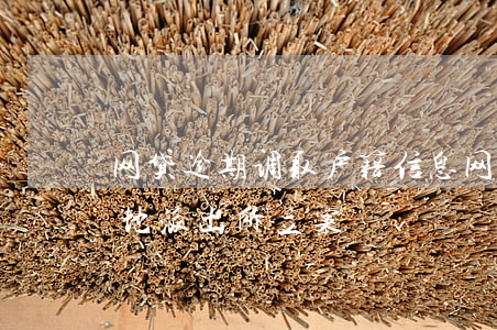 网贷逾期调取户籍信息(网贷逾期说是向户籍地派出所立案)