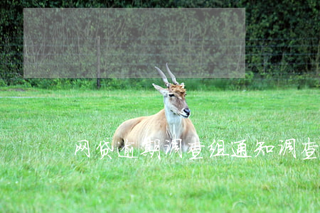 网贷逾期调查组通知调查(网贷逾期立案)