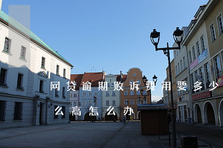 网贷逾期败诉费用要多少(网贷逾期的费用这么高怎么办)