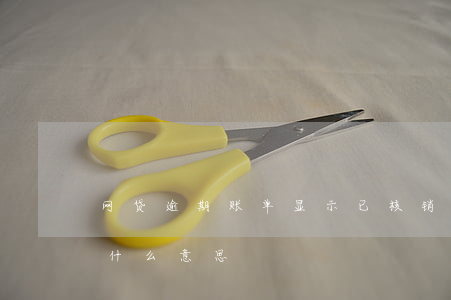 网贷逾期账单显示已核销(网贷显示已核销是什么意思)