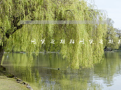 网贷逾期贴,网贷逾期贴吧最新 网贷逾期贴,网贷逾期贴吧最新