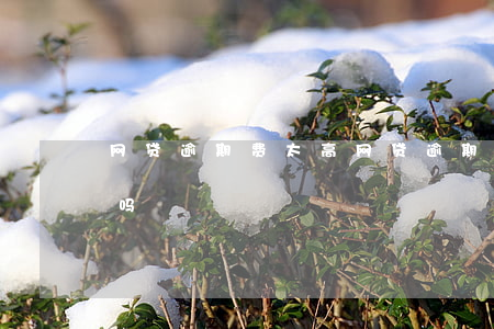 网贷逾期费太高(网贷逾期费太高了可以不还吗)