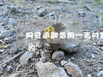 网贷逾期费用一天时期(网贷逾期了一天要紧吗)