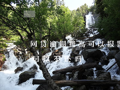 网贷逾期费高可以报警吗(网贷逾期费太高了可以不还吗)