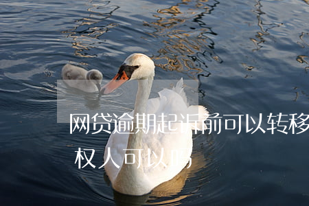 网贷逾期起诉前可以转移财产吗(网贷转移债权人可以吗)