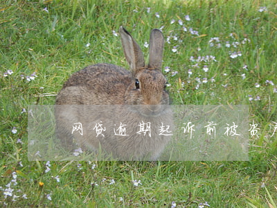网贷逾期起诉前被资产保前