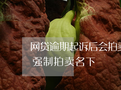 网贷逾期起诉后会拍卖名下车子(网贷会不会强制拍卖名下)