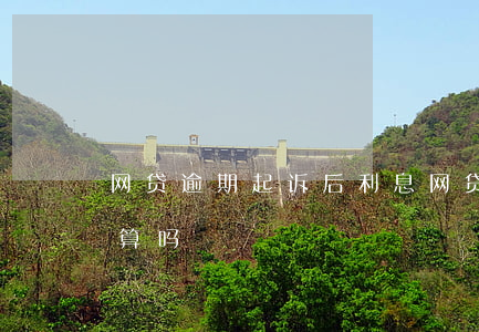 网贷逾期起诉后利息(网贷逾期起诉后利息还算吗)