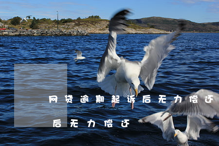 网贷逾期起诉后无力偿还(网贷逾期法院判决后无力偿还)