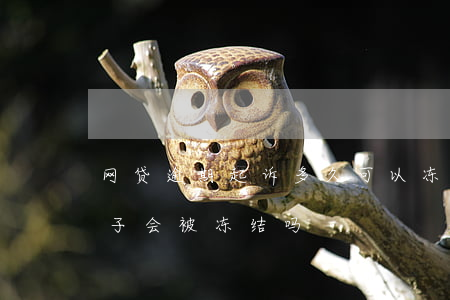 网贷逾期起诉多久可以冻结房子(网贷逾期房子会被冻结吗)