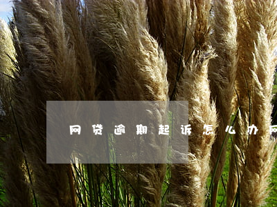 网贷逾期起诉怎么办(网贷逾期被告了怎么办)