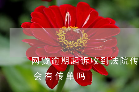 网贷逾期起诉收到法院传单(网贷被告上法院会有传单吗)