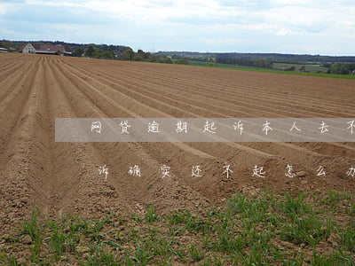 网贷逾期起诉本人去不了(网贷逾期被银行起诉,确实还不起,怎么办)