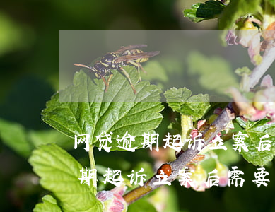 网贷逾期起诉立案后需要多久执行-网贷逾期起诉立案后需要多久执行呢