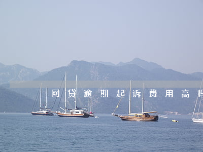 网贷逾期起诉费用高吗