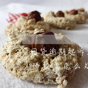 网贷逾期起诉走什么流程(网贷逾期进去诉讼阶段要怎么处理)