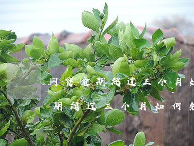 网贷逾期超过三个月如何先本后息-网贷逾期超过三个月如何先本后息还款