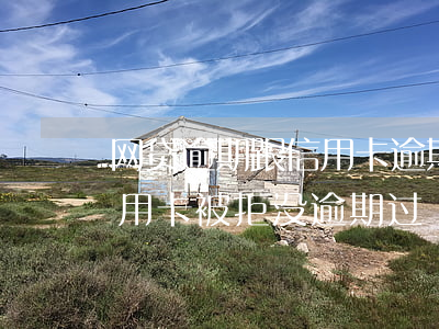 网贷逾期跟信用卡逾期哪个严重（各种网贷信用卡被拒没逾期过）