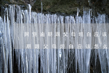 网贷逾期跟父母坦白应该怎么面对-网贷逾期跟父母坦白应该怎么面对呢