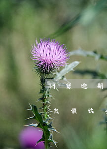 网贷逾期转外包催收会怎样吗（网贷逾期转外包催收会怎样）