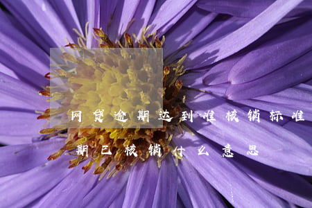 网贷逾期达到准核销标准是啥意思-网贷逾期已核销什么意思