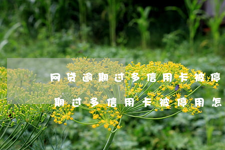 网贷逾期过多信用卡被停用怎么办-网贷逾期过多信用卡被停用怎么办呢