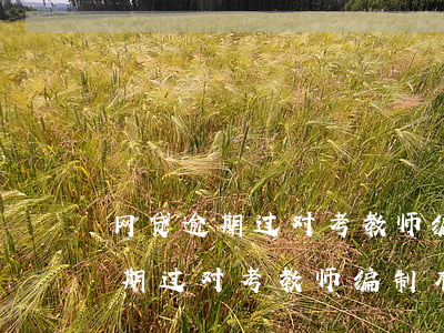 网贷逾期过对考教师编制有影响吗-网贷逾期过对考教师编制有影响吗知乎