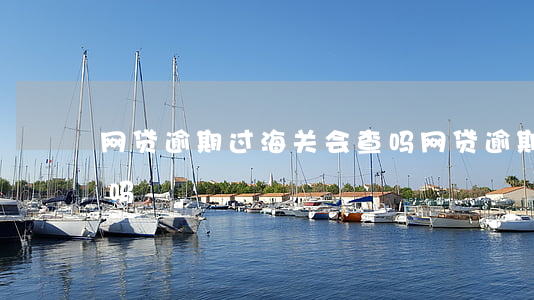 网贷逾期过海关会查吗(网贷逾期过海关会查吗)