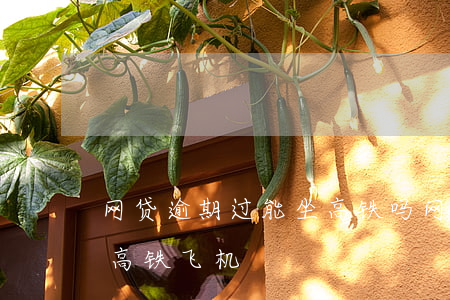 网贷逾期过能坐高铁吗(网贷逾期多久不能坐高铁飞机)