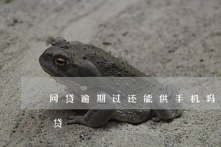 网贷逾期过还能供手机吗(网贷逾期还能不能贷)