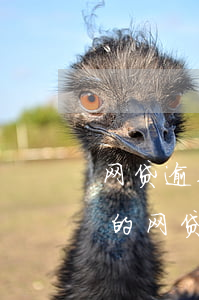 网贷逾期过还能贷的(网贷有过逾期还能下款的网贷)