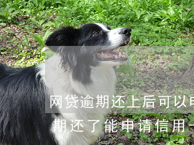 网贷逾期还上后可以申请信用卡吗-网贷逾期还了能申请信用卡吗