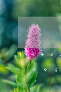 网贷逾期还不上怎么办有什么后果分期乐-网贷分期乐不还会有什么后果