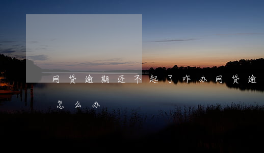 网贷逾期还不起了咋办(网贷逾期暂时还不起怎么办)