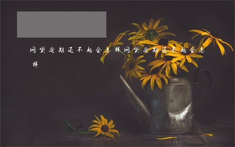 网贷逾期还不起会怎样(网贷逾期还不起会怎样)