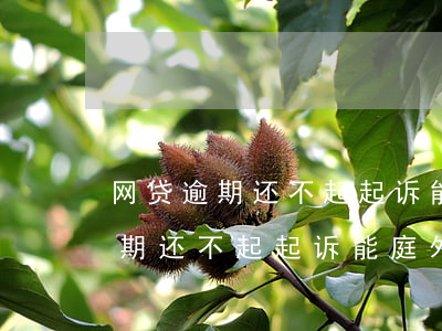 网贷逾期还不起起诉能庭外调解吗-网贷逾期还不起起诉能庭外调解吗知乎
