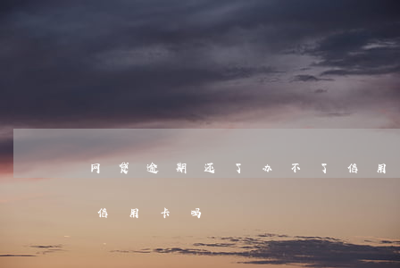 网贷逾期还了办不了信用卡(网贷逾期办不了信用卡吗)