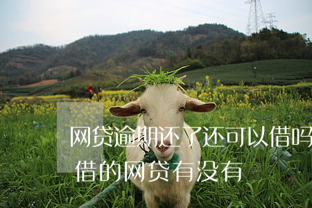网贷逾期还了还可以借吗(当前有逾期还可以借的网贷有没有?)