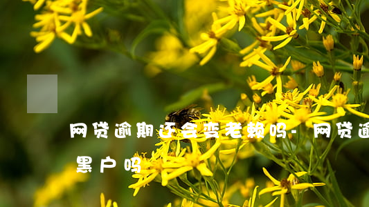 网贷逾期还会变老赖吗-网贷逾期了会变成黑户吗