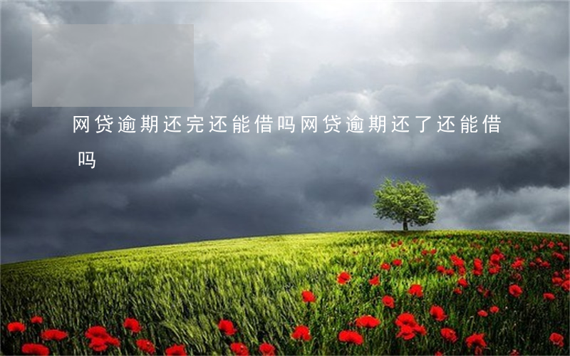 网贷逾期还完还能借吗(网贷逾期还了还能借吗)