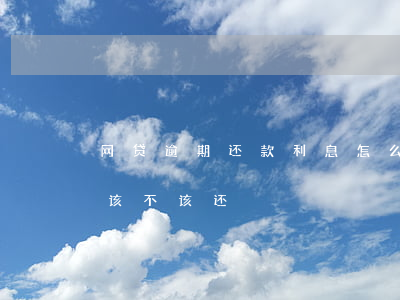 网贷逾期还款利息怎么办(网贷产生的逾期费该不该还)