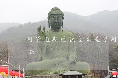 网贷逾期还款怎么说话(网贷逾期还款怎么说话)