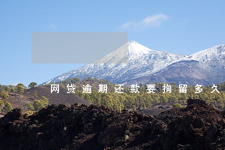 网贷逾期还款要拘留多久
